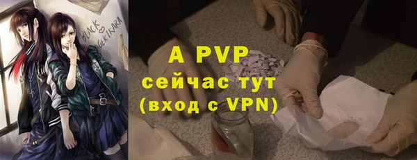 крисы Козельск