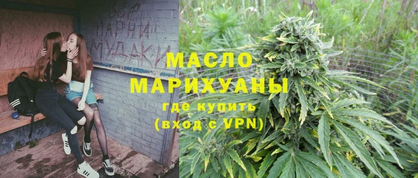 крисы Козельск