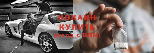крисы Козельск