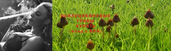 гашиш Козловка