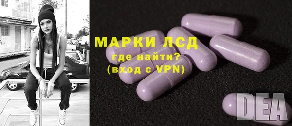крисы Козельск