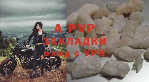 крисы Козельск