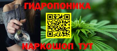 a pvp Канаш
