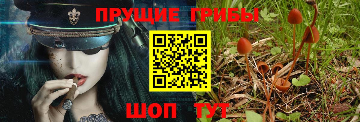 Галлюциногенные грибы Psilocybe  Вход с VPN  Псилоцибиновые грибы Psilocybe  Красноярск 